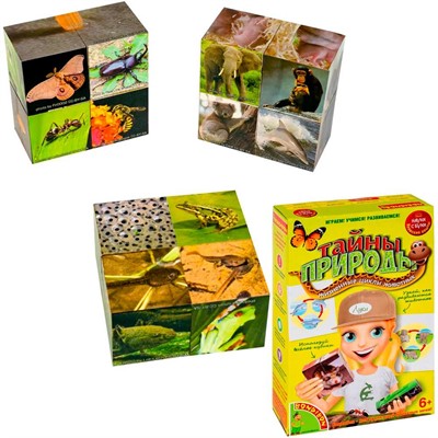 Набор Японские опыты Науки с Буки Bondibon Тайны природы 196411 - фото 69769372