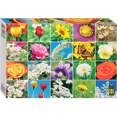 Пазл 2000 Цветы. Коллаж 84052 Степ /6/ - фото 69782527