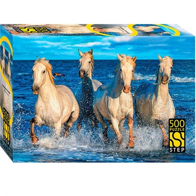 Пазл 500 Четверка Нептуна 99075 Степ /16/ - фото 69791624