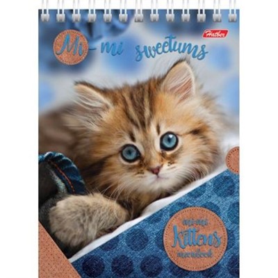 Блокнот 40 л. А6 Милые котята 40Б6В1 Hatber - фото 69796547