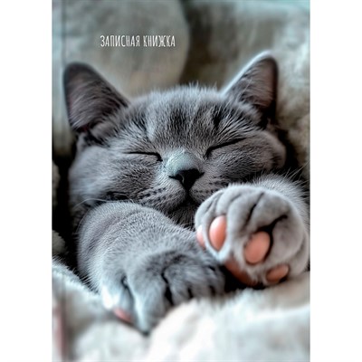 Записная книжка 160 л. А6 Милые котики - 9 ЗК160-0085 - фото 69797944