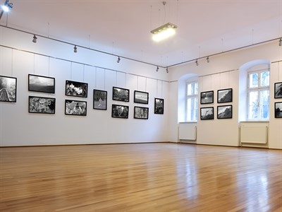 Музейная подвесная система для сложных экспозиционных решений - фото 69803048