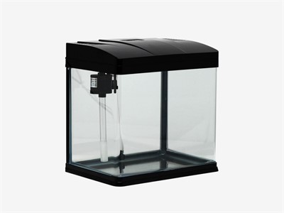 Аквариум - фото 69804271