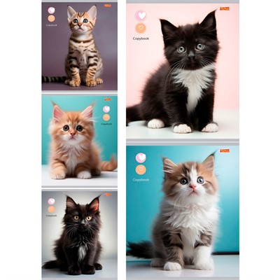 Тетрадь 48 л. клетка МАЛЕНЬКИЕ КОТИКИ  48-3911 - фото 69849885