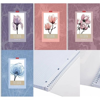 Тетрадь 80 л. клетка Нежность 80Т5лВ1гр Hatber - фото 69850964