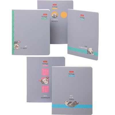 Тетрадь 48 л. клетка Калан Кеша 48Т5лВ1 Hatber - фото 69851094