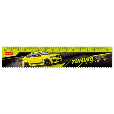 Линейка пластик 15х3см -AutoStyle- 059193 - фото 69851352