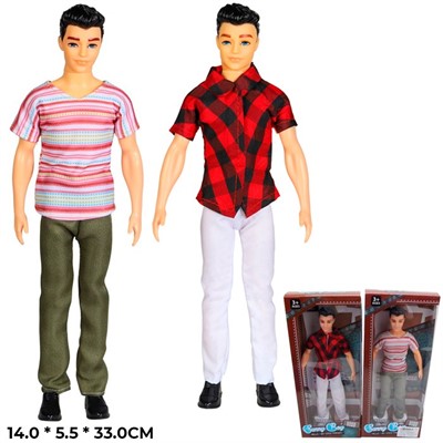 Кукла Кен 315-ALY в коробке - фото 69867264