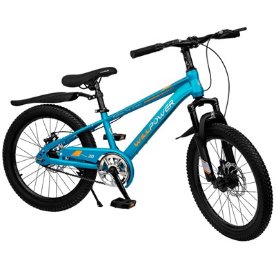 Велосипед двухколесный 20" WILLPOWER синий FG240528004L-3 - фото 69870485