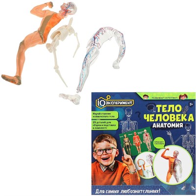 Набор Опыты тело человека IQ Эксперимент A365-H24040-R - фото 69879501