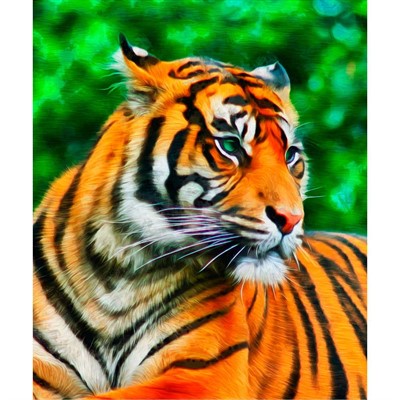 Набор для творчества Роспись по холсту 17х22 см Непредсказуемый тигр Х-3892 - фото 69890129