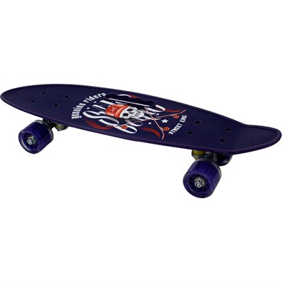 Скейтборд пластик 55 см 141V-779 колеса PU рис. в асс. - фото 69905313