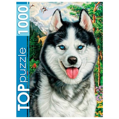 Пазл 1000 Портрет хаски ФТП1000-7178 - фото 69908081