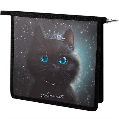 Папка для тетрадей на молнии 1 отделение Принцесса луна 69297 - фото 69915657