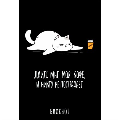 Блокнот 40 л. А5 Фразы с характером. Кот 69256 - фото 69916105