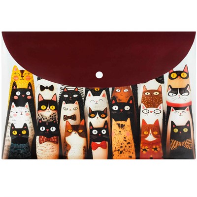 Папка для тетрадей на кнопке 1 отделение Веселые коты 72225 - фото 69916172