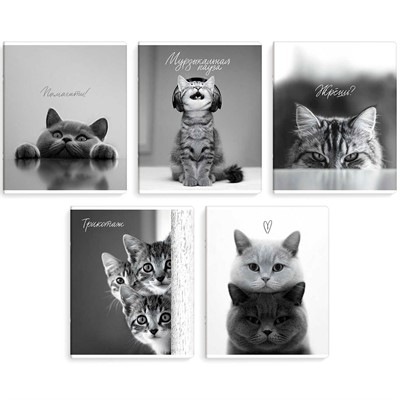 Тетрадь 48 л. клетка Монохромные коты 70920 - фото 69916283
