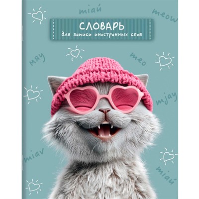 Тетрадь для записи иностранных слов Лова-лова кот 69991 - фото 69916344