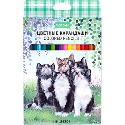 Карандаши цветные 18 цв. ECO Котики бывают разными CS_084400 Hatber - фото 69916563