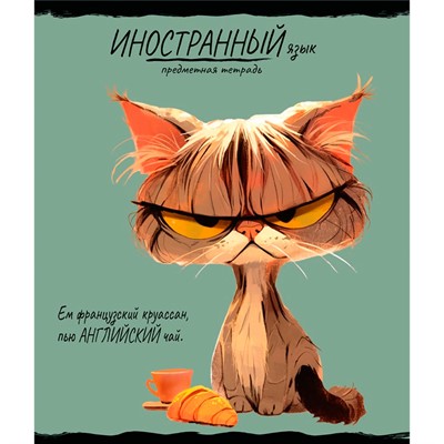 Тетрадь 48 л. клетка ИНОСТРАННЫЙ ЯЗЫК «ПРО ХВОСТ» 48-2464 - фото 69917437