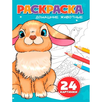 Раскраска 978-5-378-35178-7 ДОМАШНИЕ ЖИВОТНЫЕ - фото 69917489