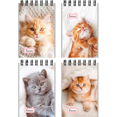 Блокнот 40 л. А7 Маленькие котята - 1 Б40-6384 ассорти - фото 69917688