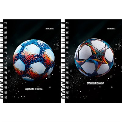 Записная книжка 120 л. А6 Разные футбольные мячи - 15 ЗК120-3026 - фото 69917787