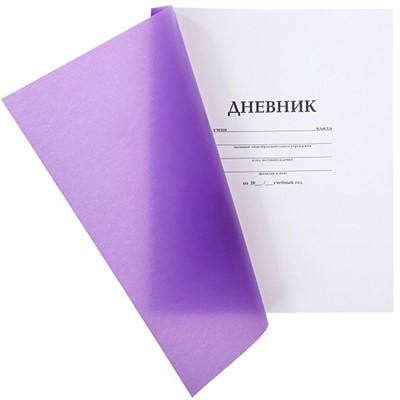 Дневник для 1-11 кл. 40л. Фиолетовый 085906 - фото 69917836