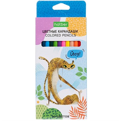 Карандаши цветные 12 цв. ECO ZOO CS_084391 Hatber - фото 69918141