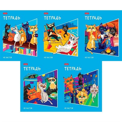Тетрадь 48 л. клетка КотоБанда 48Т5В1 Hatber - фото 69918187