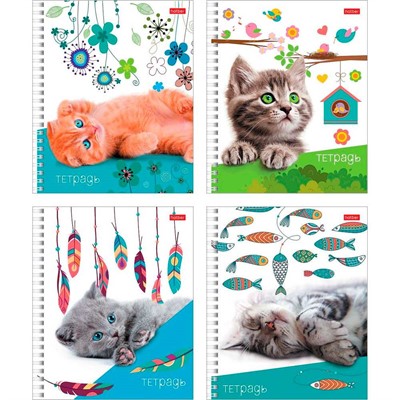 Тетрадь 48 л. клетка Пушистые мордочки 48Т5В1гр Hatber - фото 69918277