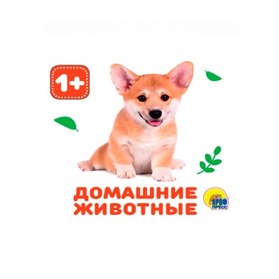 Книга на пене 978-5-378-28831-1 Домашние животные - фото 69918672
