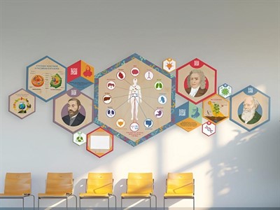 «Стендум - Биология» - набор информационно-методических панелей (14 шт.) - фото 69929592