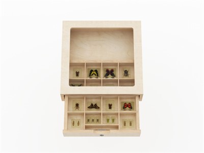 Демонстрационный футляр с выдвижным ящиком для хранения из коллекции мебели «НЕГА» - фото 69933791