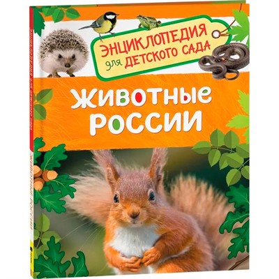 Книга 978-5-353-08480-8 Животные России. Энциклопедия для детского сада - фото 69934112