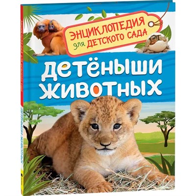 Книга энциклопедия 978-5-353-09339-8 Детеныши животных.Энциклопедия для детского сада - фото 69934158