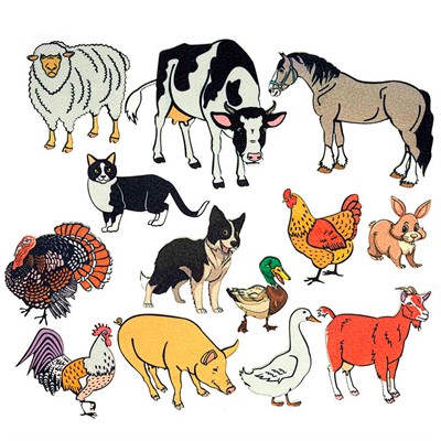 Игра Домашние животные LIP1250 - фото 69936601