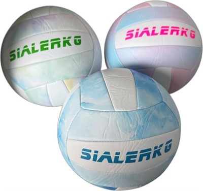 Мяч Волейбол №5 141V-1295 - фото 69938812