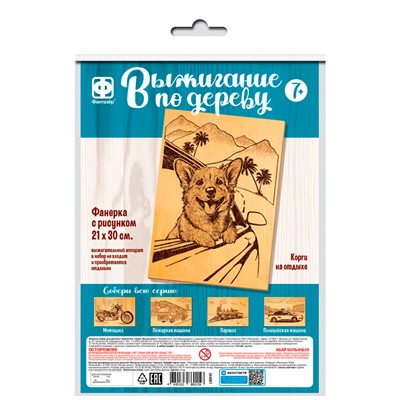 Набор для творчества Основы для выжигания 300х210 Корги на отдыхе 364201 - фото 69940133