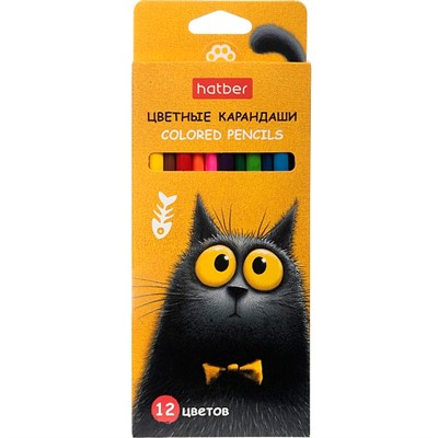 Карандаши цветные 12 цв. Пушистый философ 094019 Hatber - фото 69941659