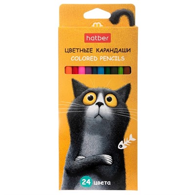 Карандаши цветные 24 цв. Пушистый философ  094021 Hatber - фото 69941705