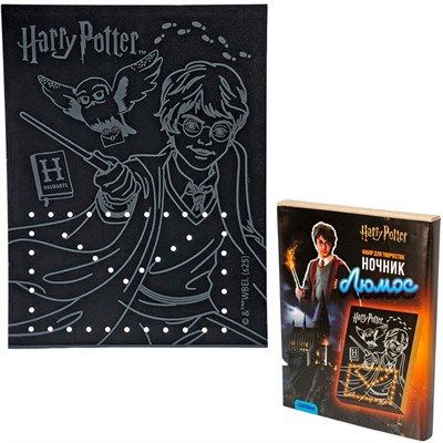 Набор для творчества сделай ночник Гарри Поттер Люмос-Волшебник 77705 - фото 69942814