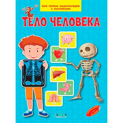 Книга 978-5-00132-350-1 Тело человека. Моя первая энциклопедия с наклейками - фото 69943422