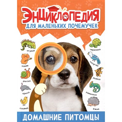 Книга 978-5-378-34425-3 ЭНЦИКЛОПЕДИЯ ДЛЯ МАЛЕНЬКИХ ПОЧЕМУЧЕК. Домашние питомцы - фото 69944237
