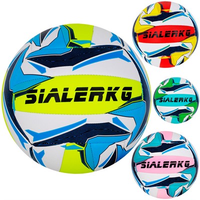 Мяч Волейбол №5 141V-1296 - фото 69946213