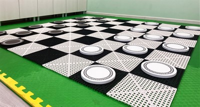 Напольные шашки Жу-Жу 24 шт. - фото 69977193