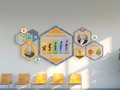 «Стендум - Биология» - набор информационно-методических панелей (10 шт.) - фото 70470752
