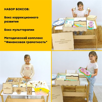Комплект боксов для развития (мульттерапия, коррекция, финансовая грамотность) - фото 70642014