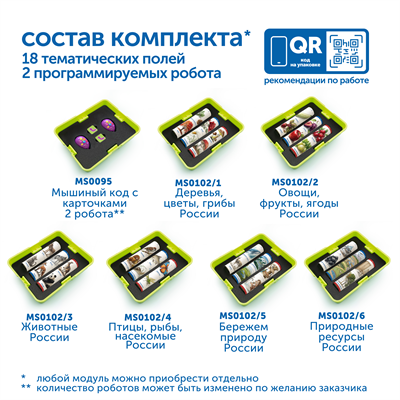 Природные богатства России с РобоМышью (2 робомыши) с системой хранения - фото 70943778