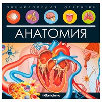 Книга 9785001347941 Энциклопедия открытий. Анатомия